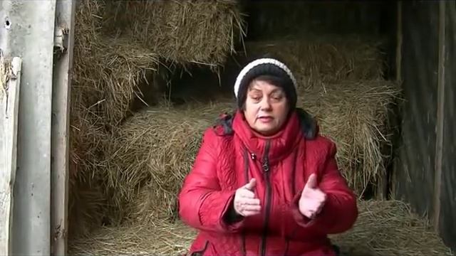 Про молоко и мясо. Если вы любите своих детей. смотреть онлайн