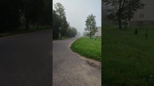 Осинторф...как много в этом слове.