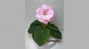 САТ- Богиня Лада 🌸🎀