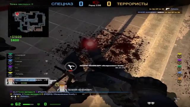 Кот-пчела Монтаж(CS:GO)