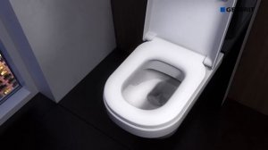 Унитазы Geberit Monolith Plus WC   сантехника ViP