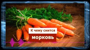 морковь во сне - К чему снится морковь