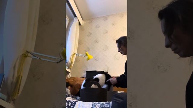 Кусая, Маркуша и Монси смотреть онлайн