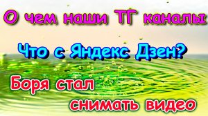 Видео от Бори. Яндекс Дзен. Наши ТГ каналы. (01.25г.) Семья Бровченко.