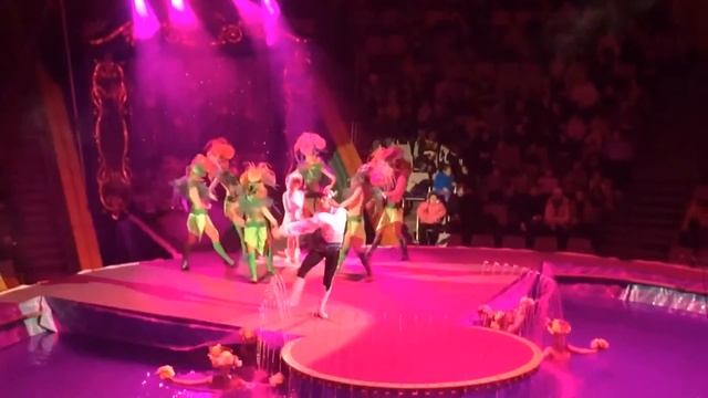 • Цирк на воде • смотреть онлайн