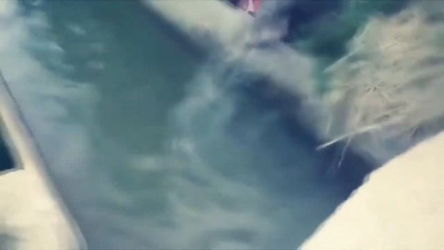 Best COUB # 2 | COUB l ЛУЧШИЕ ПРИКОЛЫ СЕНТЯБРЬ 2019 | CUBE | Best CUBE | Fails | Funny смотреть онлайн