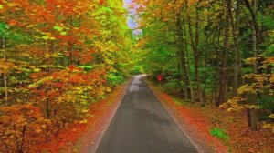 Прекрасный фильм о природе!...