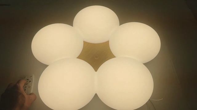 Потолочный светильник Aiden CY181-205 с пультом смотреть онлайн