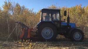 Мульчирование подлеска мульчером УМ-Форест на тракторе МТЗ