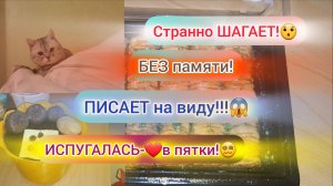 1.12.2023 ПОДГЛЯДЫВАЕТ!😆С КЕМ ТЫ РАЗГОВАРИВАЕШЬ_!🤨ПОДАРОК ОТ МАМЫ!😍ЧТО С РЕМОНТОМ_!🤔