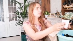 ФИКУСЫ! Большая ПЕРЕСАДКА. СОВЕТЫ ПО УХОДУ - делюсь своим опытом!