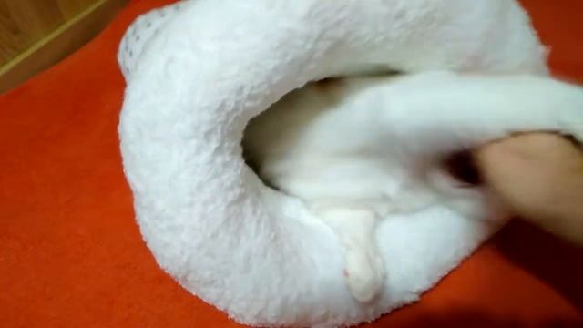 Тили-бом смотреть онлайн