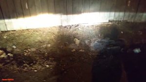 Сравнение автомобильных ламп h7 обычная и philips +100% x-treme vision отзывы