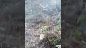 Хорошая свалка