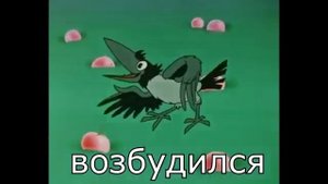 Мешок говна RYTP