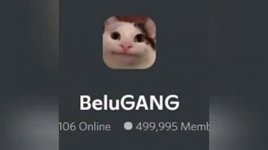 БЕЛУГА КОТ!!!!!
