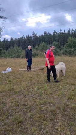 150820 Игра на ДР МЕДВЕДЕВа