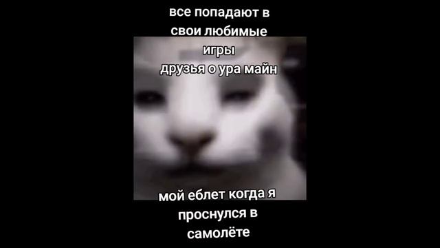 Тик ток шутит | Подборка мемов