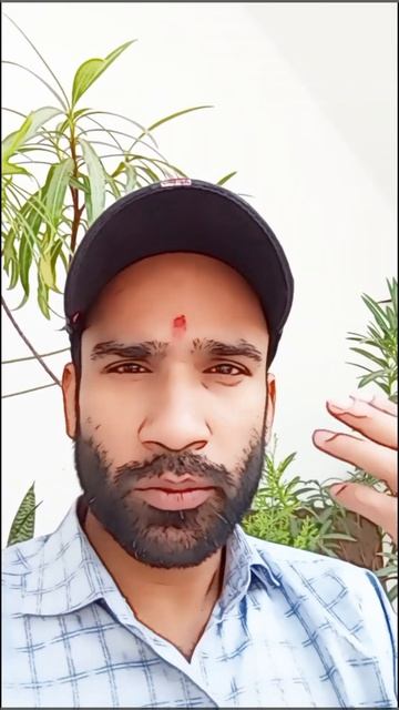 Самая известная индийская еда l #viral_video #шортс #langaugegyan смотреть онлайн