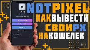 Как вывести свои Not Pixel на кошелек. Сколько монет удалось заработать.