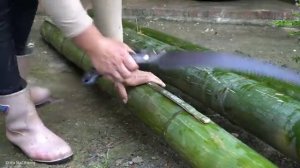 How to Build a New Dog House - Harvesting Banana Leaves to Sell at the Market | Trieu Mai Huong