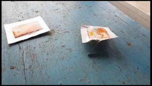Чем лучше обрабатывать пчел от клеща сразу после откачки меда