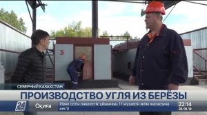 Производство угля из берёзы запустили на севере Казахстана