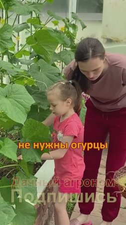 Секреты урожая для современной семьи