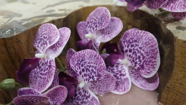 Стол из спила со смолой, орхидеями и кофе. Ошибки и достижения. Столярная школа.