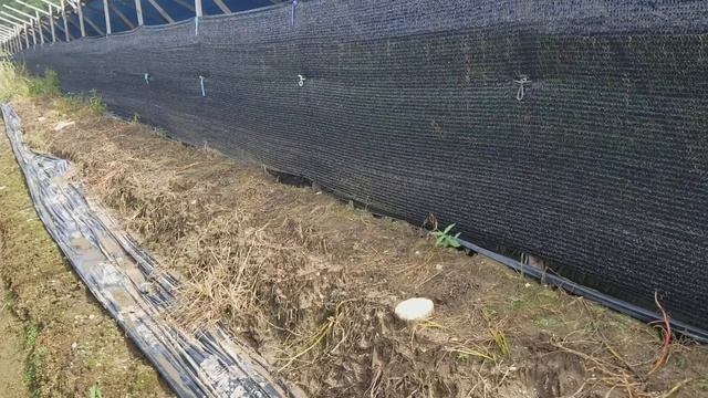 Арбайт Южная Корея 08.2018 смотреть онлайн