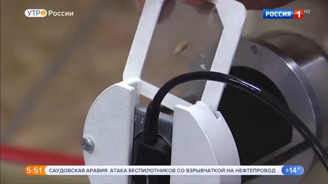 Рентгеновская дефектоскопия семян
