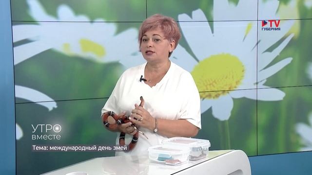 Гость студии: педагог дополнительного образования Дворца творчества детей и молодежи Светлана Кнох