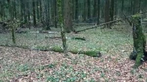 О ночевке на пожоге
