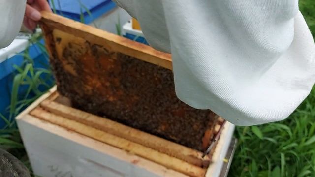 как взять мёд с остатком семьи после продажи пакета смотреть онлайн