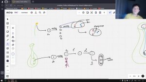 ЕГЭ Биология | ЦИКЛ развития ПОКРЫТОСЕМЕННЫХ