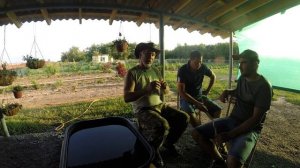 Насадка для ловли сома с квоком. Принципы выбора. Предпочтение от Юрия Философа