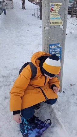 вот как выглядит Миша