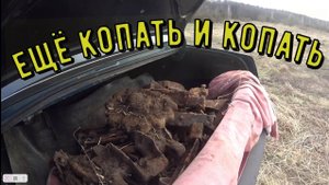 Я ДУМАЛ ЗДЕСЬ МЕТАЛЛОЛОМА НЕТ А ЕГО КОПАТЬ ЕЩЁ И КОПАТЬ. коп металла. коп 2024
