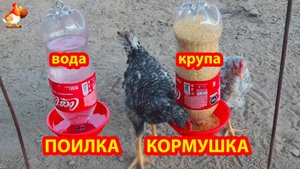 Поилка и кормушка из 2 л бутылок и пиалок ПВХ для кур 🪚🪛🔨
