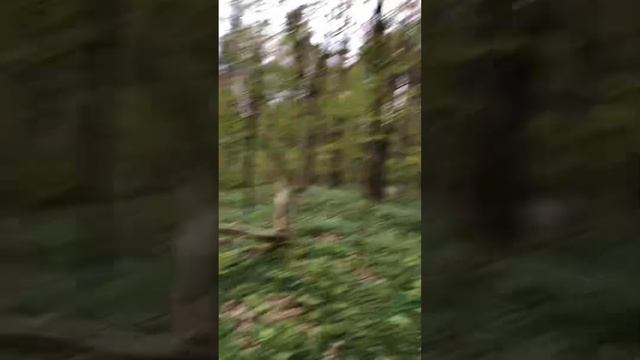 Магнитометр Гефест-4/Двухдневный коп черного металла.