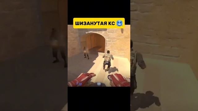 КС2 Приколы _ CS2 FUNNY MOMENTS