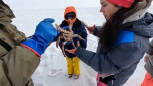 Сахалин 2024. Горный воздух. Крабалка. Горные лыжи