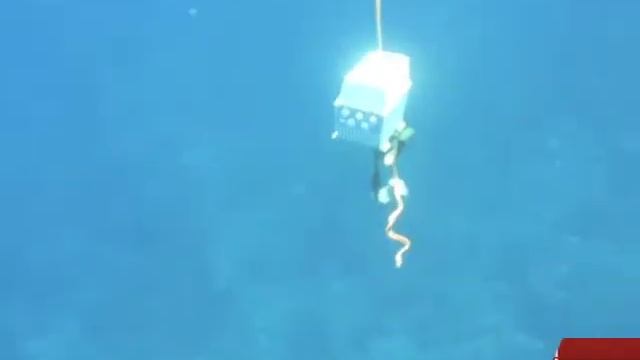 Convertidores de frecuencia IP66/67/69K смотреть онлайн