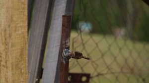 ЖИЗНЬ В УРАЛЬСКОЙ ДЕРЕВНЕ | ОСВАИВАЕМ НОВЫЕ ЗЕМЛИ ДЛЯ СКОТА | ЭЛЕКТРОПАСТУХ В ДЕЛЕ