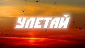 "Улетай"- хит из 1994 года.