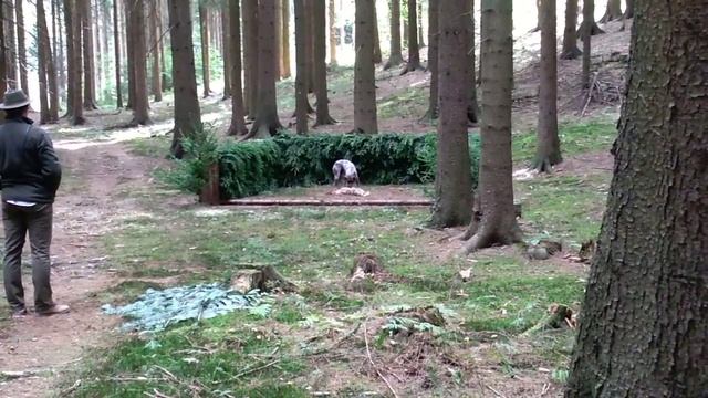 Maura z Potônskej Lúky - 80. Memoriál Karla Podhajského 2018 v Litomyšli смотреть онлайн