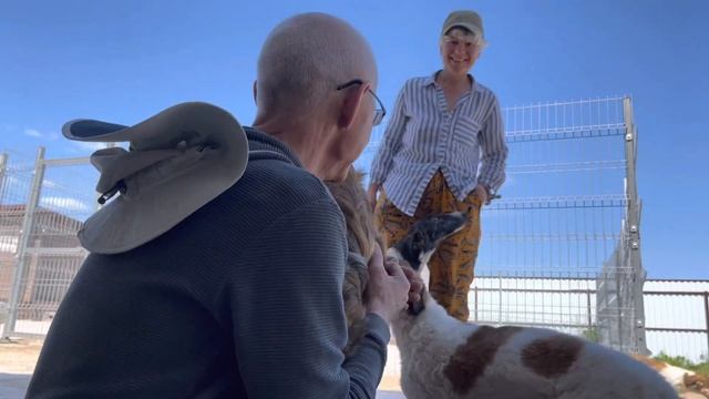 Сенавиан, июнь 2022. Жарко, устали, спать хотим. смотреть онлайн