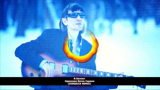 Валерий Залкин - Одинокая Ветка Сирени (ZORGEICE REMIX)
