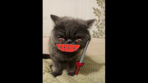 психованные лица кефира