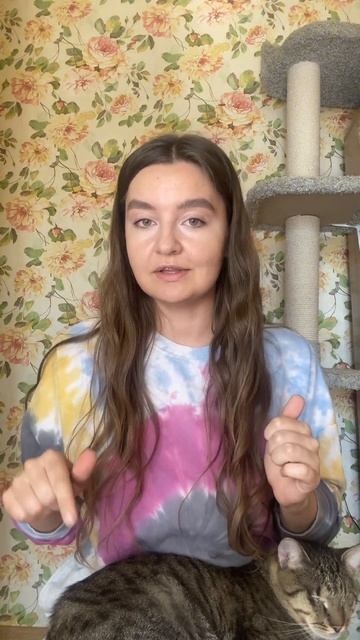 Откажись от желаемого, чтобы получить его #cat #котик смотреть онлайн